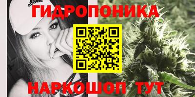 apvp Татарск